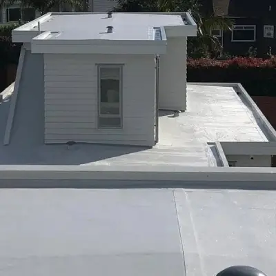 Roof Coating 