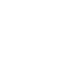 Roof Restoration icon