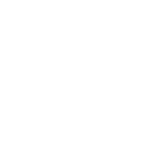 Roof Restoration icon