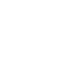 Roof Replacment icon