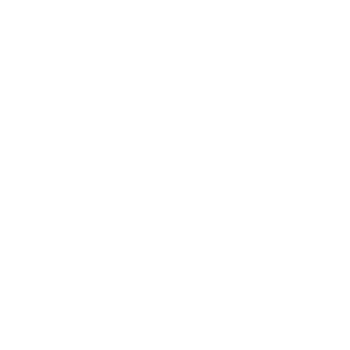 Roof repair icon